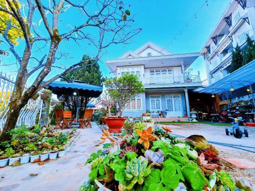 Hostal Susan Villa
