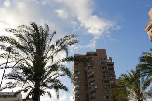 Apartamento Sur Suites Palmeras 3