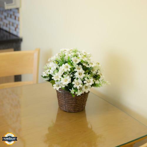 Apartamento C?n H? Du L?ch Cao C?p Yumi Villa ?� L?t