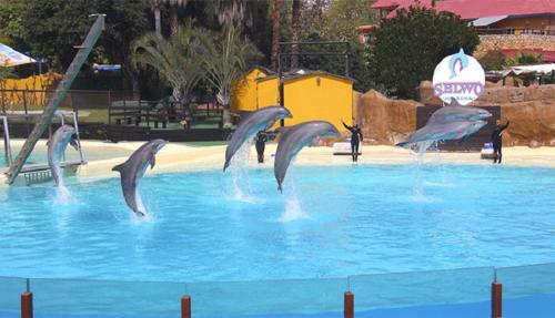 Apartamento Paseo Maritimo Los Boliches. Fuengirola
