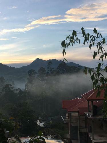Home Stay Of Dushy