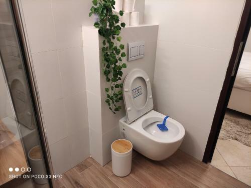Apartamento Arad-dead Sea Bashiris Place