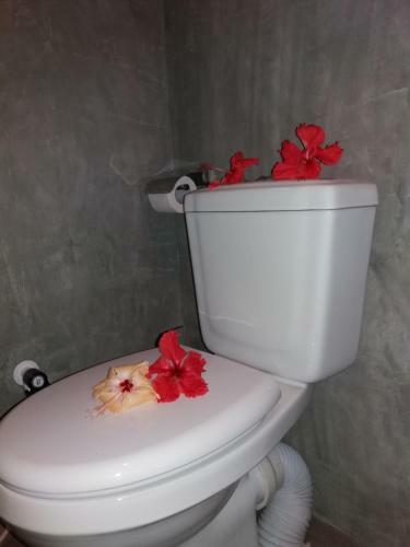 Hostal Cashew Villa Hiriketiya