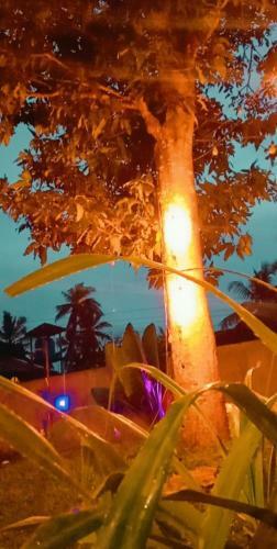 Bed & Breakfast Hiri Moon Villa