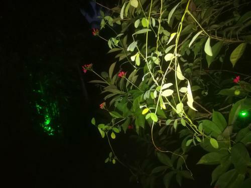 Bed & Breakfast Bamboo Home Stay Hiriketiya