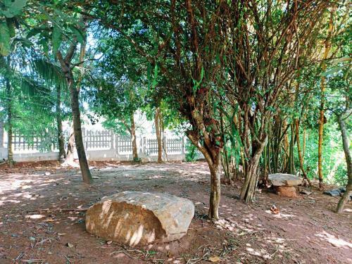 Hostal Eco Garden Hiriketiya