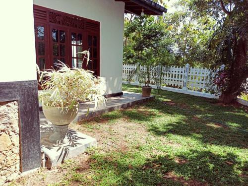 Hostal Eco Garden Hiriketiya