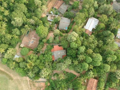 Hostal Eco Garden Hiriketiya