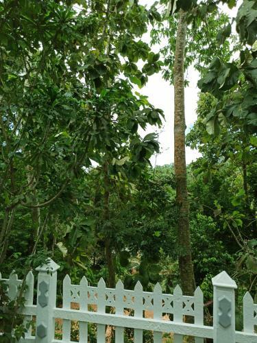 Hostal Eco Garden Hiriketiya