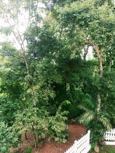 Hostal Eco Garden Hiriketiya