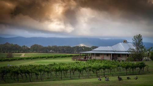 Lodge Hanging Tree Wines