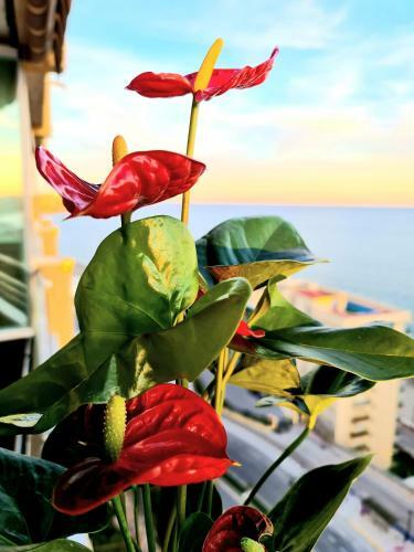Mar Y Luz Front Sea Views Eco Apartment Fuengirola