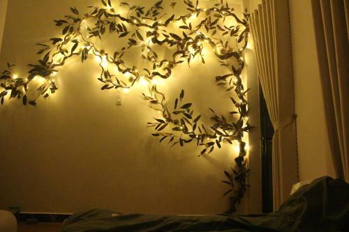 Hostal Nh� M�y Homestay