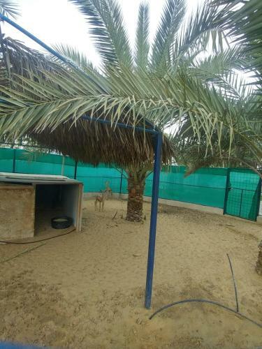 Agroturismo Al Maha Farm