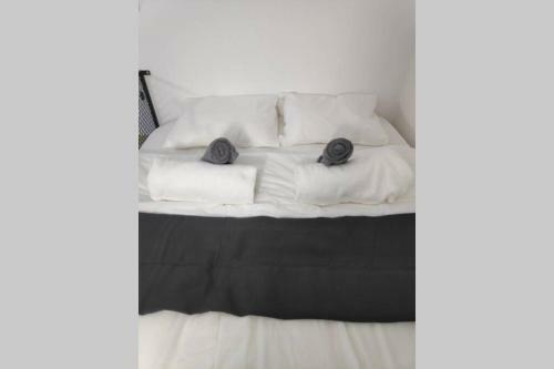 Centrally-located Quiet Cozy Loft Apartment