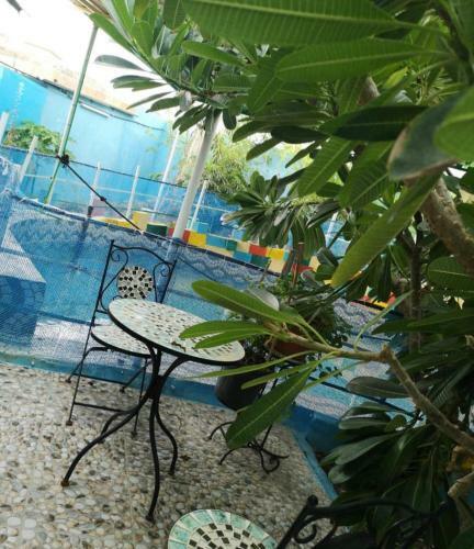 Agroturismo Happiness Farm