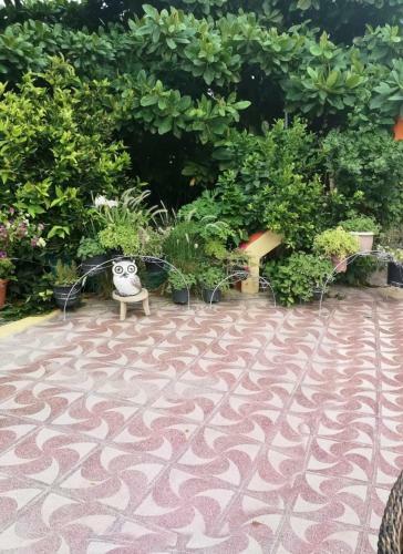Agroturismo Happiness Farm