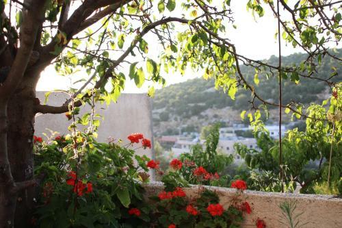 Ajloun Mihna Guest House