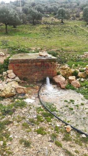 Ajloun Mihna Guest House