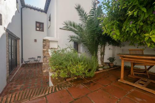 Patio Del Olivo