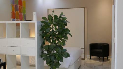 Apartamento Loft Tranquilo Y Acogedor