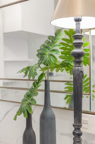 Bib Rambla Luxury Apartments By Apolo Homes