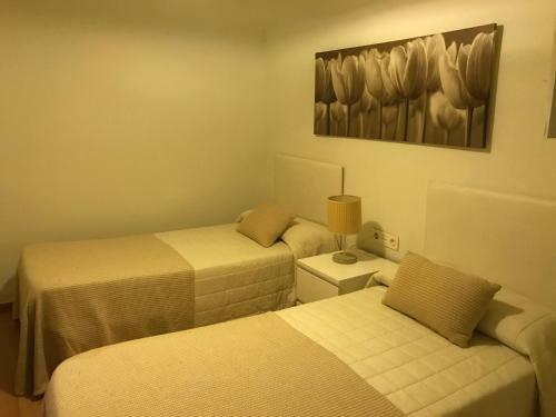 Apartamento 6 Calle Profesor Albareda