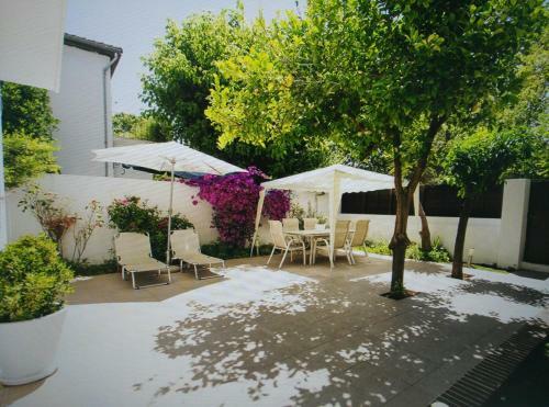 Apartamento 6 Calle Profesor Albareda