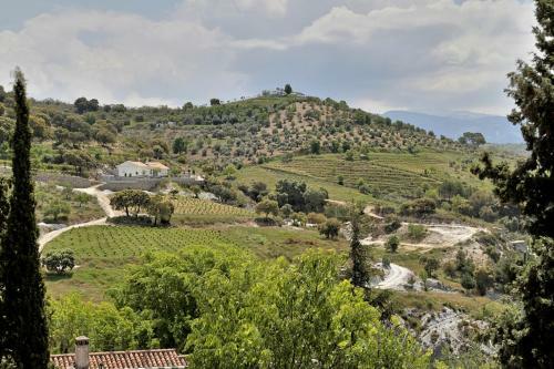 Villa Finca El Retamar
