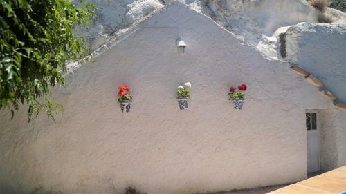 Agroturismo Casa Cueva ?la Estrella?