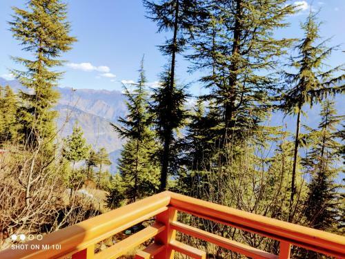 The Mountain View Cottage (jibhi)