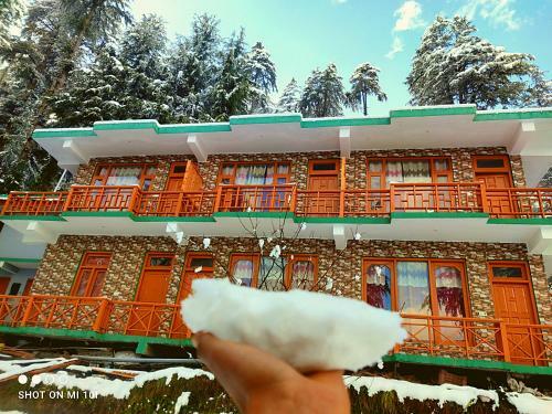 The Mountain View Cottage (jibhi)