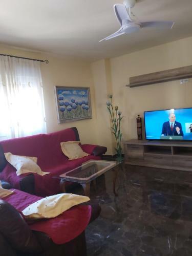 Apartamento Plaza Trinidad-cathedral
