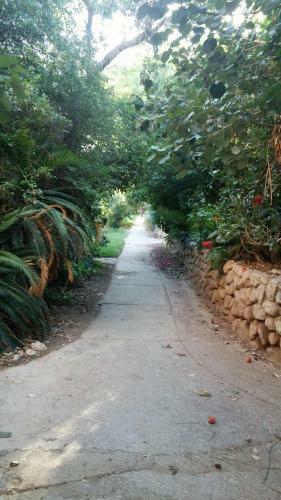 Ein Gedi Family Apartment