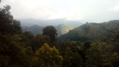 Daban Homestay Ella