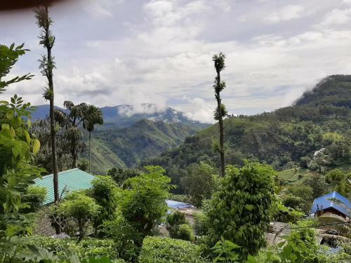 Owinhill Homestay