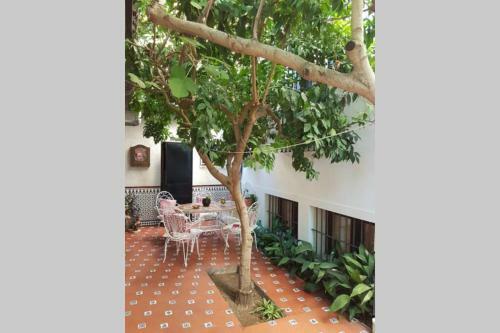 Casa Con Jard�n Granada, F�cil Aparcamiento Calle