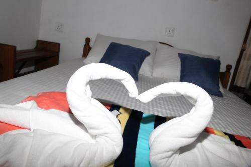 Dream Nest