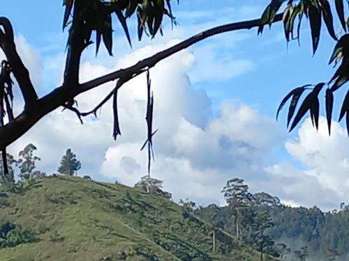 Bed & Breakfast Lazy Bear Lodge Ella