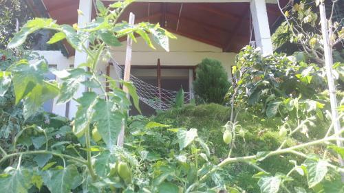 New Farmers Paradise