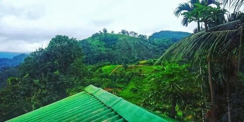 New Farmers Paradise