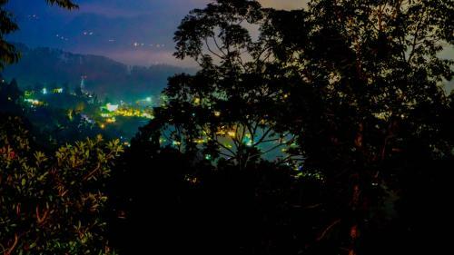 Hostal Shining Green View