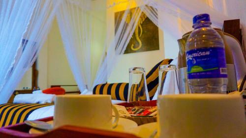 Hostal Shining Green View