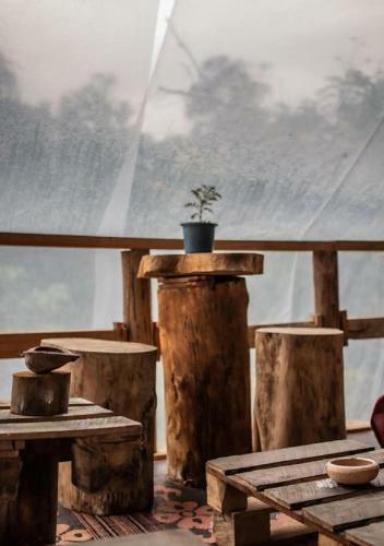 Albergue Tree House Cafe Ella