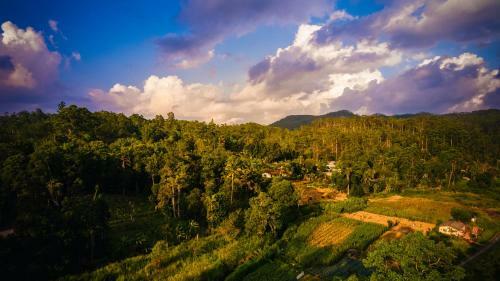 Lodge Ella Breeze Homestay