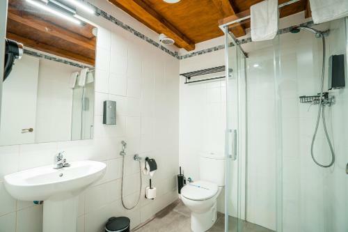 Apartamento Ibericabeds Albaic�n