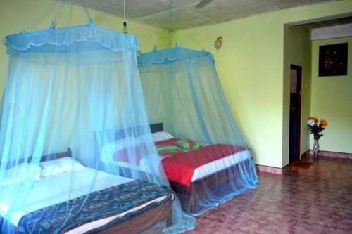 Hostal Whiteflowerhomestayella
