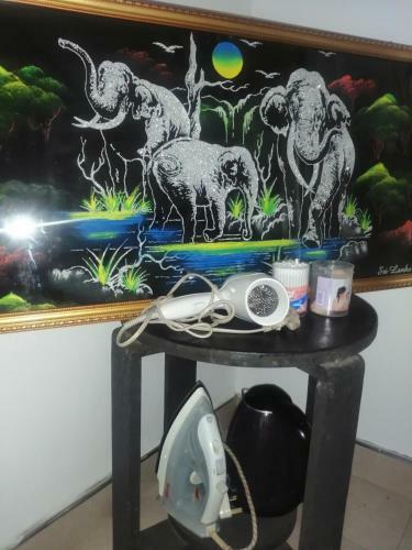 Hostal Whiteflowerhomestayella