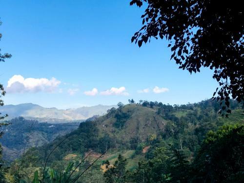 Rainbow Breeze Homestay Ella
