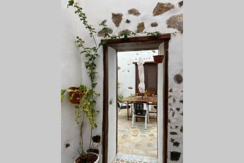 Eco Reyna House